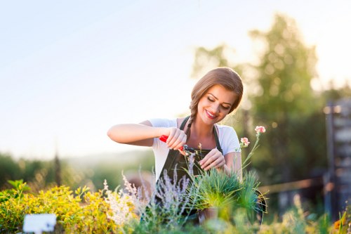 Professional hedge trimmers at work in Ealing with safety equipment