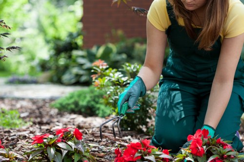 Specialist trimming tools shaping a formal hedge