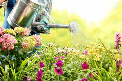 Professional lawn care and garden maintenance services