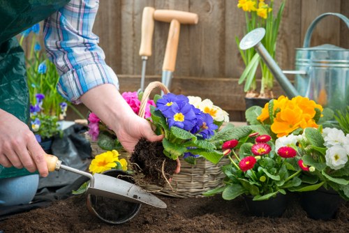 A person wearing a blue plaid shirt is working in a garden, planting a potted flowering plant with purple, yellow, and white blossoms into dark, rich soil. The garden scene includes a variety of colorful flowering plants, such as red, yellow, and pink flowers, arranged in baskets and pots, indicating a focus on ornamental gardening. In the background, there's a wooden garden fence, and gardening tools like a small trowel and watering can are visible. The ground appears to be prepared for planting, with a section of freshly turned soil, and the overall environment suggests a well-maintained outdoor space, typical of residential gardens in Ealing, with natural daylight and a temperate climate suitable for spring planting. The scene highlights gardening and landscaping services that include planting, soil preparation, and flower bed creation, which are part of comprehensive outdoor garden care provided by Hedge Trimming Ealing.