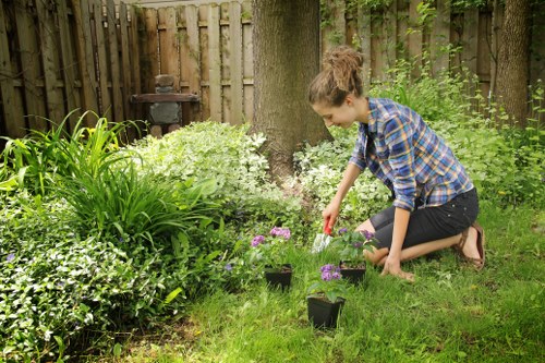 Choosing the right garden maintenance service in Ealing