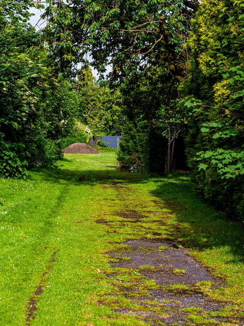 A narrow garden pathway composed of irregularly shaped paving stones, some overgrown with patches of moss and grass, extends through a lush, green outdoor space. On either side, dense foliage includes