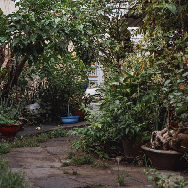 A narrow garden pathway composed of irregularly shaped paving stones, some overgrown with patches of moss and grass, extends through a lush, green outdoor space. On either side, dense foliage includes