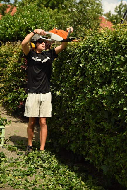 A gardener wearing a dark long-sleeved shirt and a gray cap is engaged in hedge trimming work in a lush garden. The individual is using long-handled pruning shears to carefully cut back the dense, gre